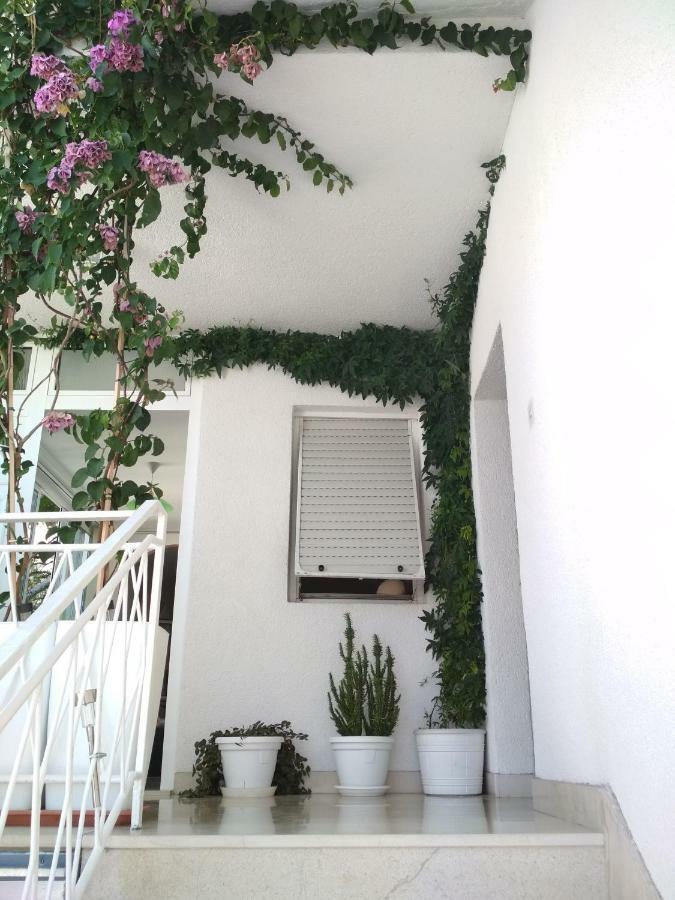 Apartmani Carevic Baska Voda Luaran gambar
